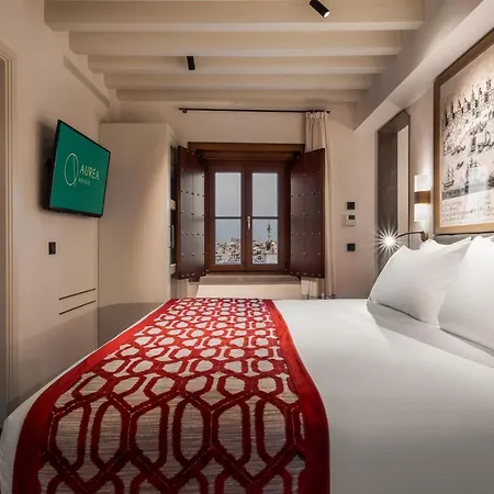 Aurea Casa Palacio Sagasta By Eurostars Company 4*