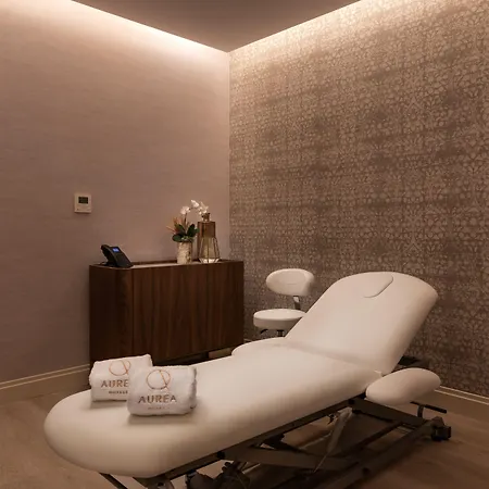 Aurea Casa Palacio Sagasta By Eurostars Company