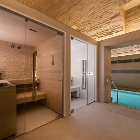Hotel Aurea Casa Palacio Sagasta By Eurostars Company 4*