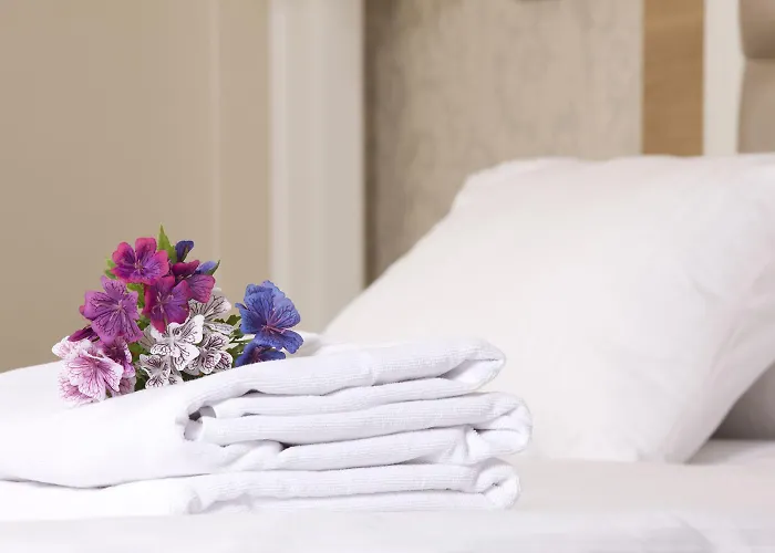 Aurea Casa Palacio Sagasta By Eurostars Company Hotel 4*