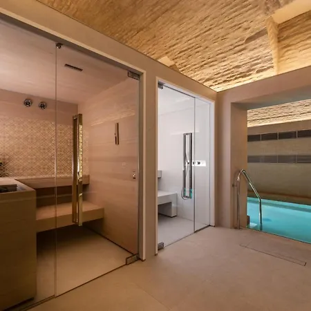 Aurea Casa Palacio Sagasta By Eurostars Company