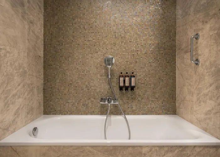 Hotel Aurea Casa Palacio Sagasta By Eurostars Company